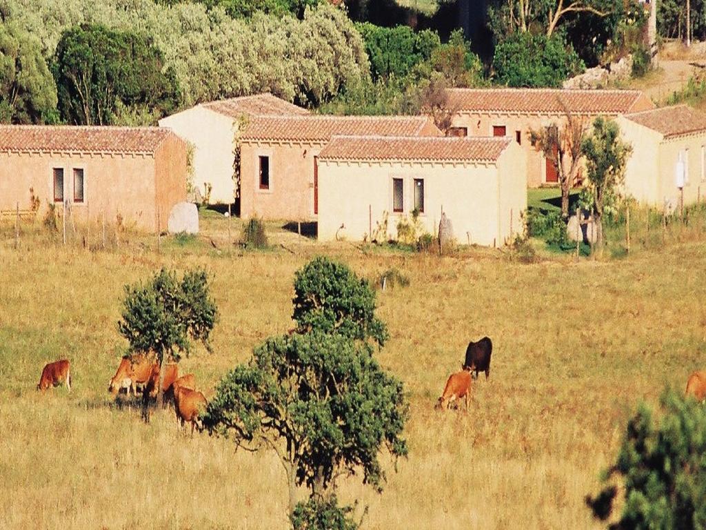 B&B Pubulos Olbia Ngoại thất bức ảnh